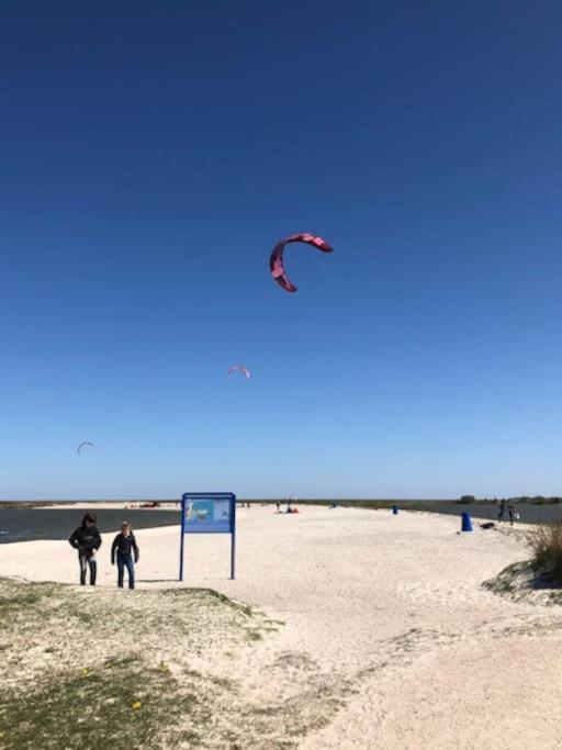 Gezellige Pipo Met Grote Schommel Aan Het Water Villa Medemblik Eksteriør bilde
