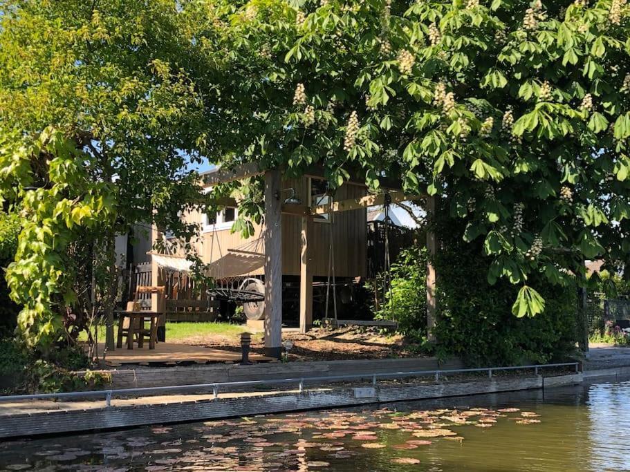 Gezellige Pipo Met Grote Schommel Aan Het Water Villa Medemblik Eksteriør bilde